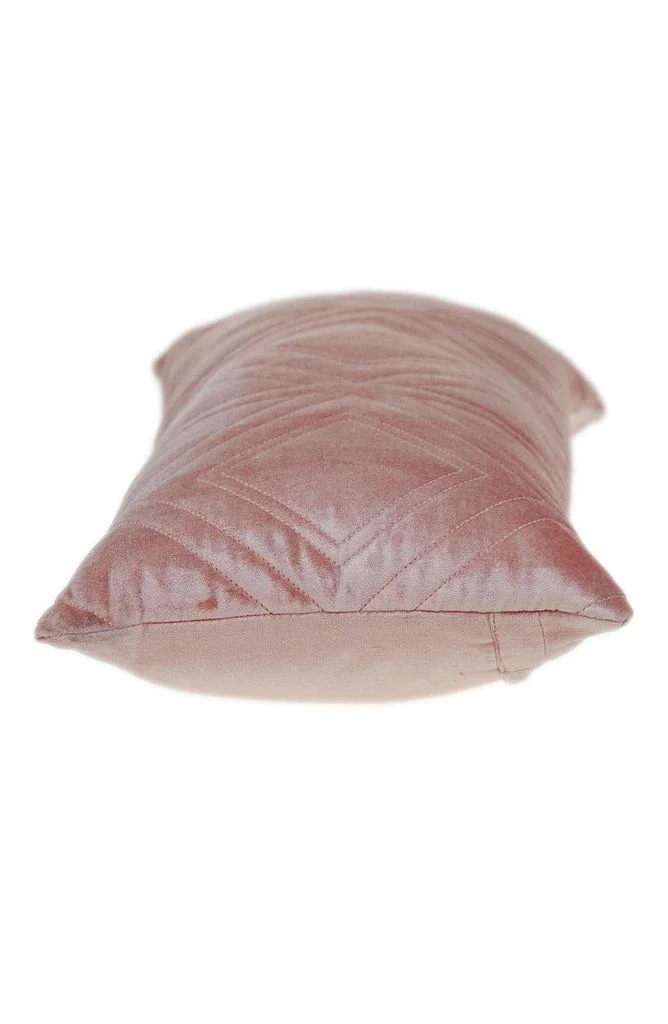 Parkland Reta Velvet Throw Pillow 4