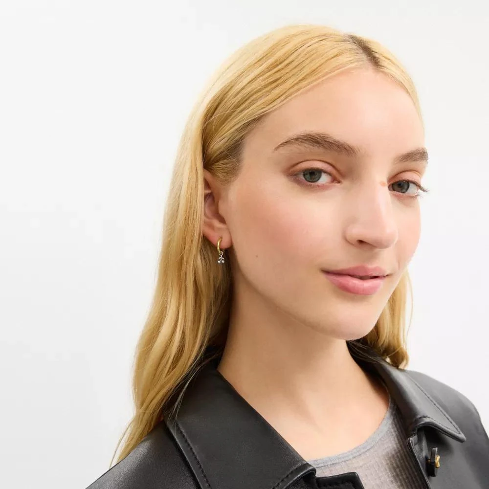 Coach Mini Tea Rose And Cherry Charm Hoop Earrings 4