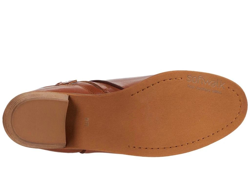 SoftWalk Raven 3