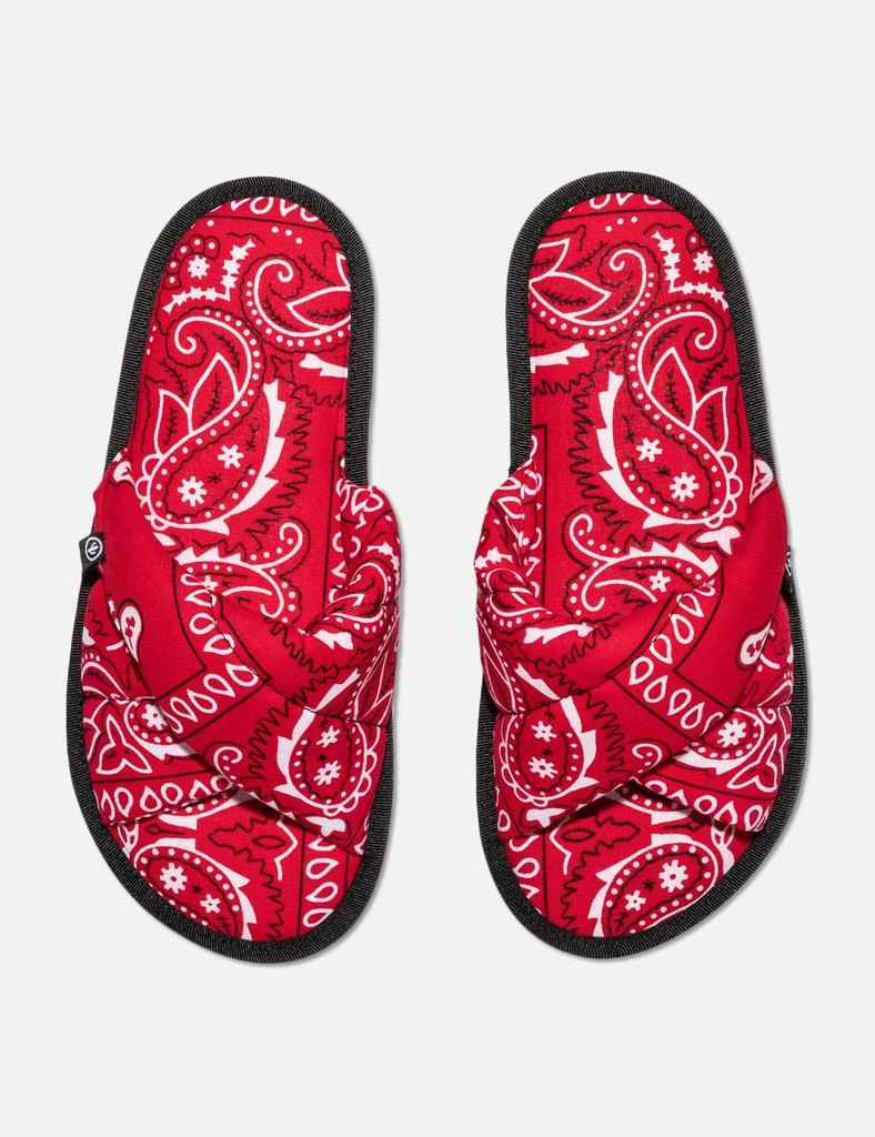 Arizona Love Vegas Slides 3