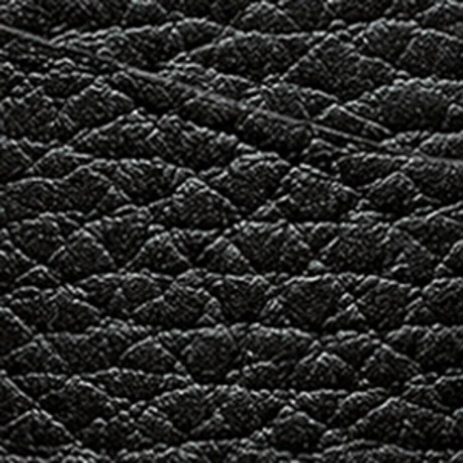 Caran d'Ache Leather Léman Pen Holder 2