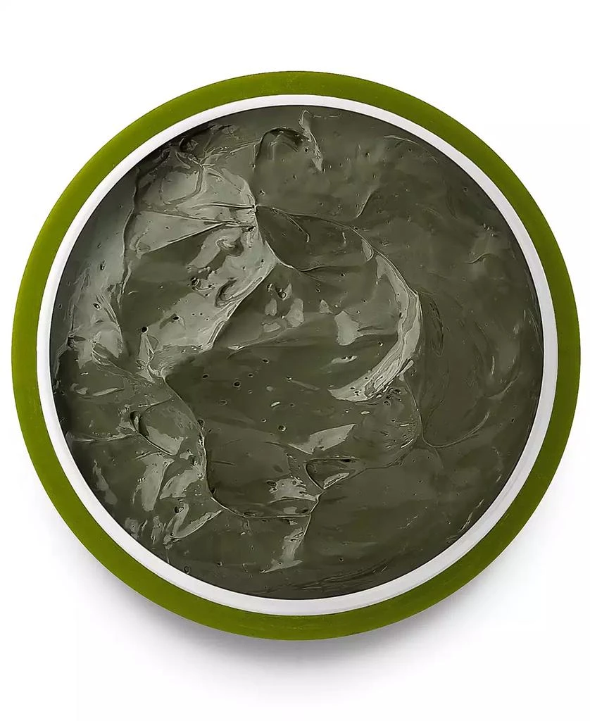 Borghese Advanced Fango Active Purifying Mud for Face and Body, 2.7-oz. 3