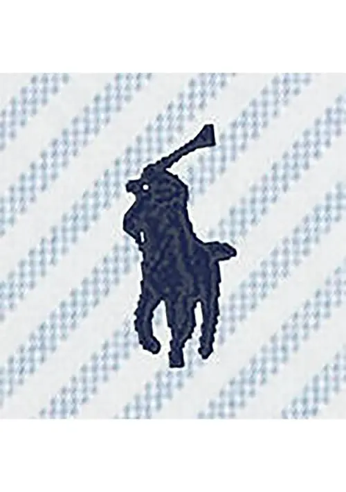 Ralph Lauren Boys 2-7 Striped Cotton Oxford Graphic Shirt 3
