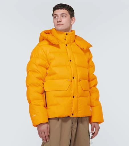 The North Face RMST Sierra parka 3