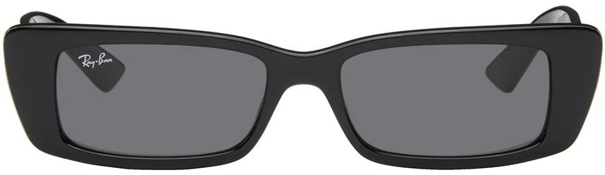 Ray-Ban Black Teru Sunglasses 1