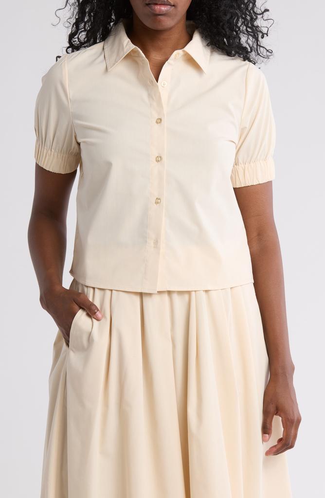Love by Design Suzanne Collar Top