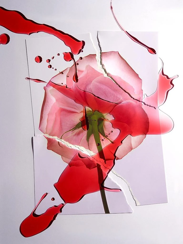 EX NIHILO Spiky Muse Eau de Parfum 6