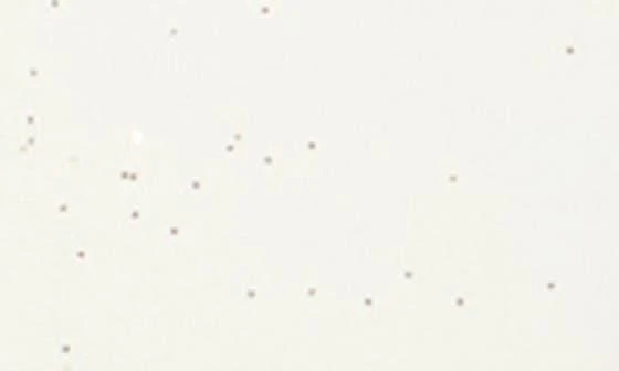 BABY STARTERS Candy Canes Long Sleeve Dress 
Socks Set 2