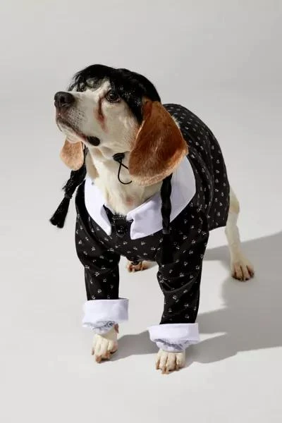 Urban Outfitters Wednesday Addams Pet Costume 6