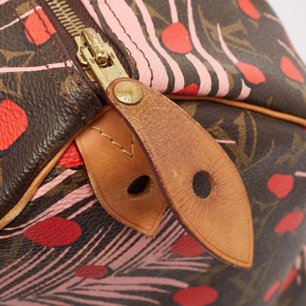 Louis Vuitton Louis Vuitton Monogram Canvas Limited Edition Jungle Dots Speedy 30 5