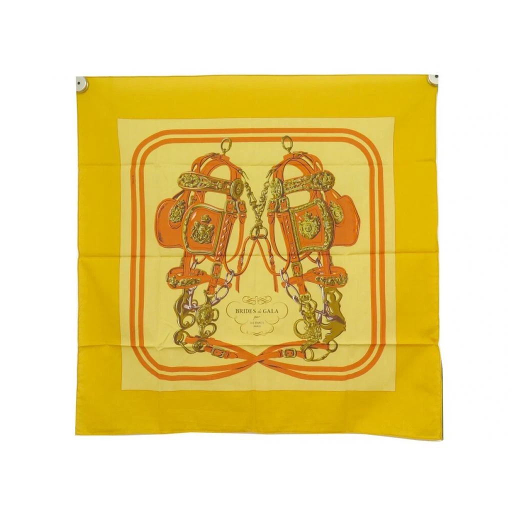 Hermes Hermès Scarf 1