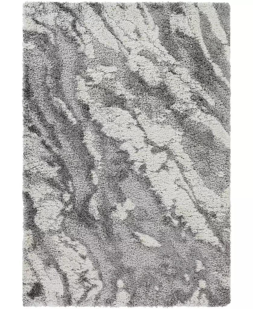 Surya Alta Shag ASG2301 2' x 3' Area Rug