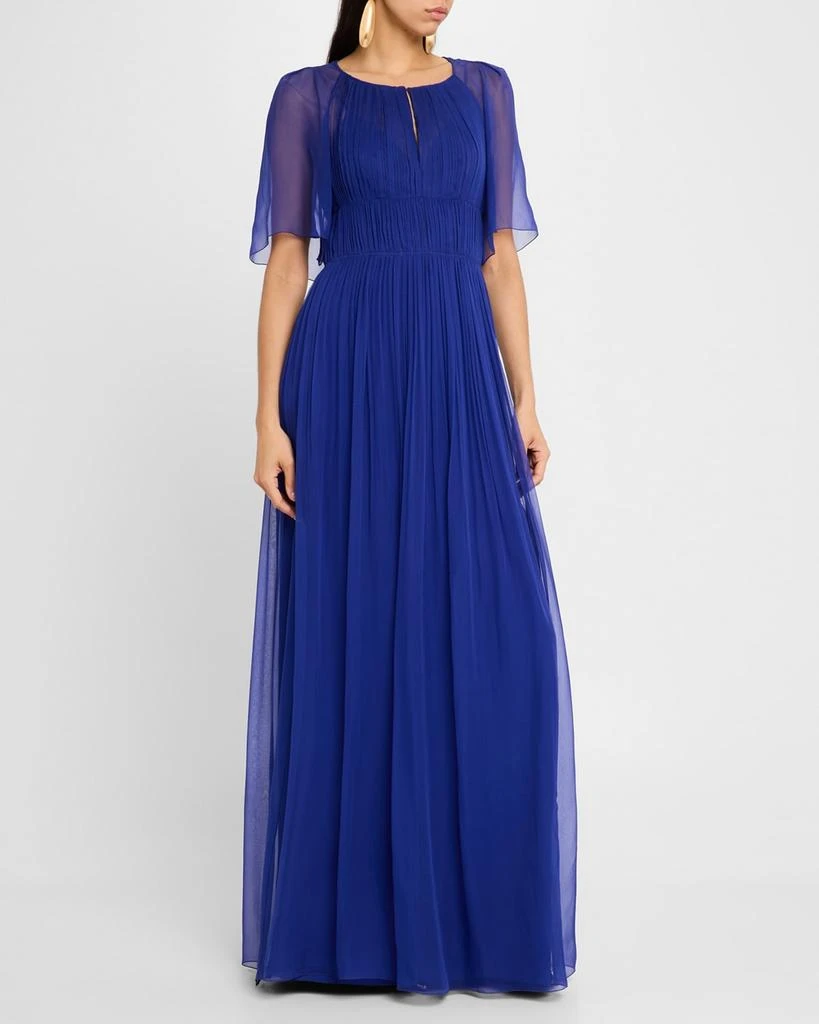 Alberta Ferretti Pleated Organic Chiffon Gown 4