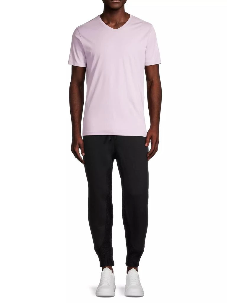 Robert Barakett Georgia V-Neck T-Shirt 2
