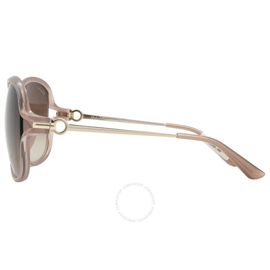 Salvatore Ferragamo Salvatore Ferragamo Brown Butterfly Ladies Sunglasses SF921SK 718 61 3