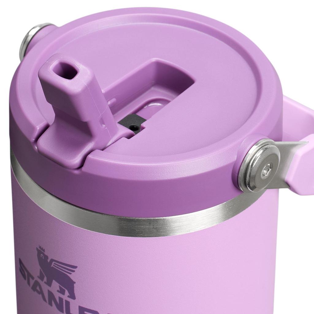 Stanley Stanley IceFlow 2.0 Flip Straw Tumbler with Handle 30 oz | Twist On Lid and Flip Up Straw | Leak Resistant Water Bottle | Insulated Stainless Steel | BPA-Free | Lilac