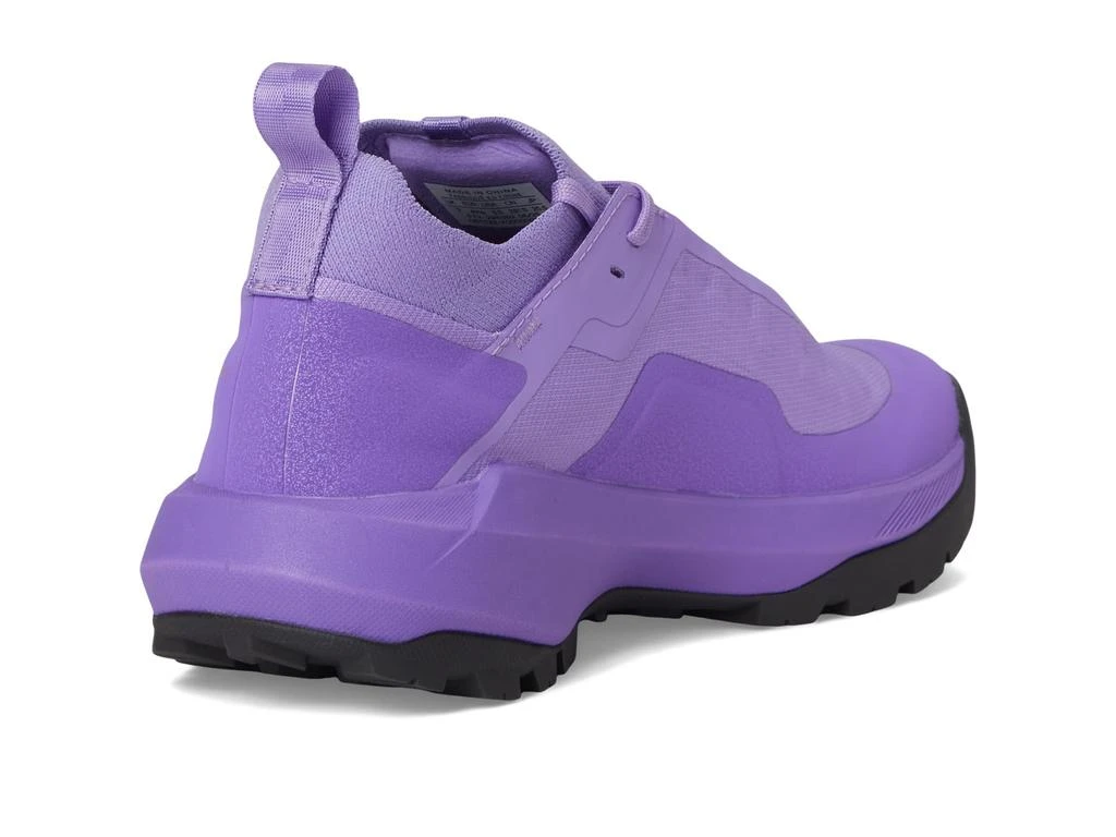 Arc'teryx Vertex Alpine GTX 5