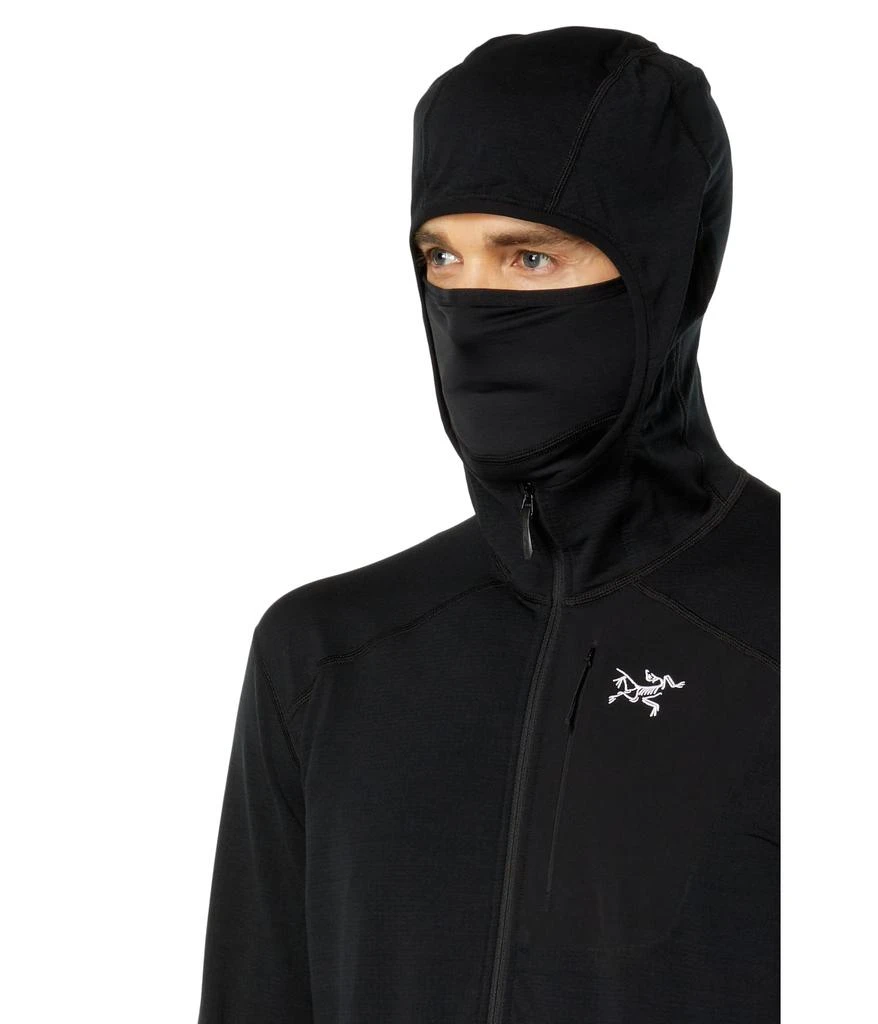 Arc'teryx Delta 1/2 Zip Hoody 3