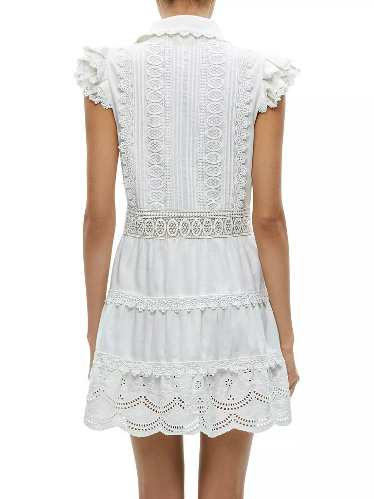 Alice + Olivia Meeko Cotton Mini Shirtdress 5