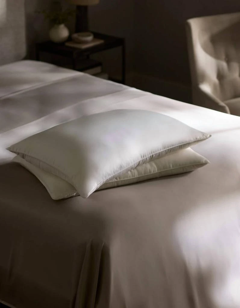 Cozy Earth Cozy Earth - Standard Silk Pillow 4