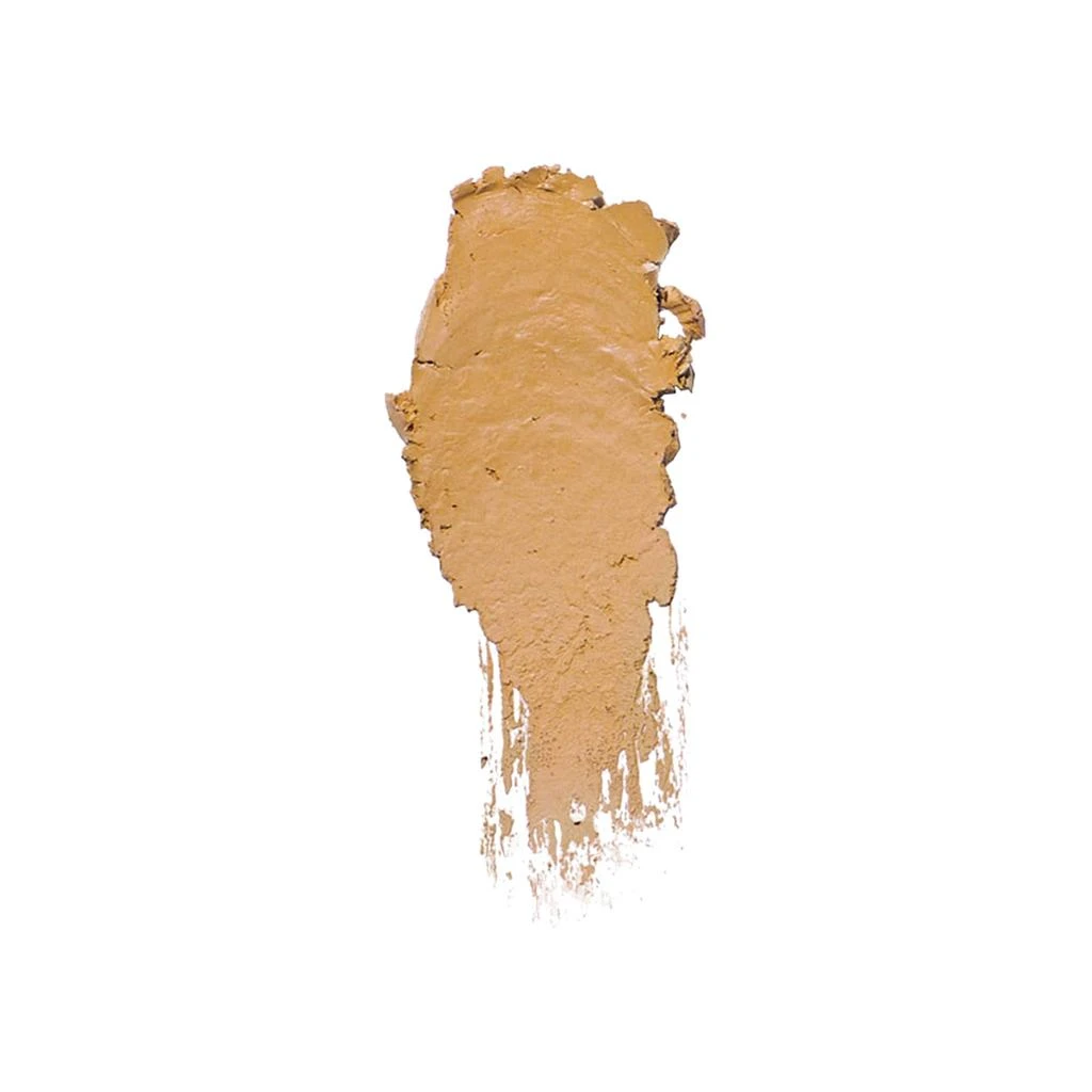 Bobbi Brown Skin Foundation Stick 120