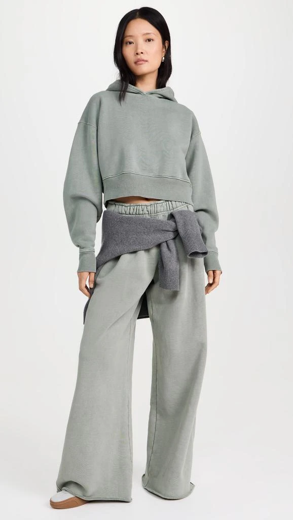 SLVRLAKE Crop Hoodie 4