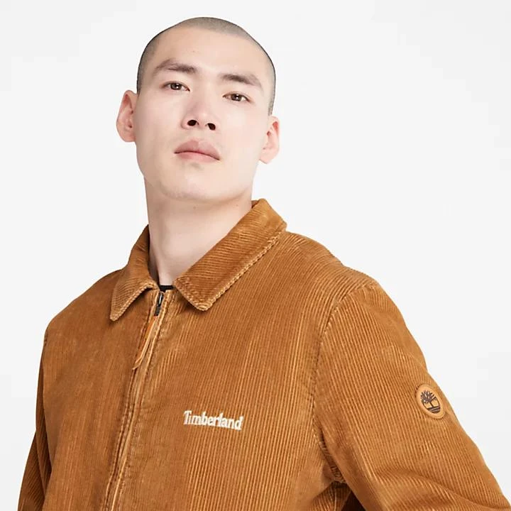 Timberland Corduroy Chore Jacket for Men in Brown 6
