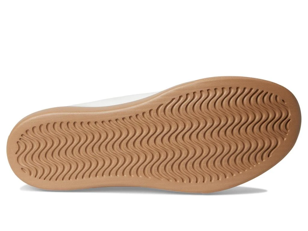allbirds Canvas Piper 3
