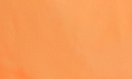 Longchamp Top Handle Document Holder 8