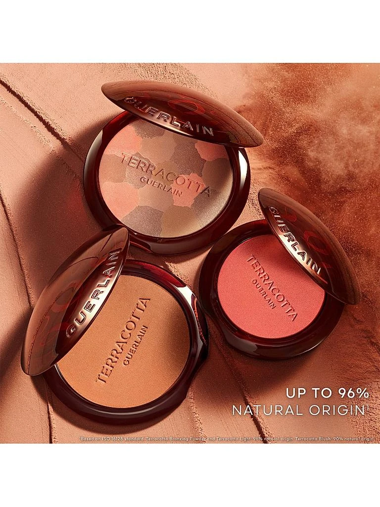 Guerlain Terracotta Powder Blush 9