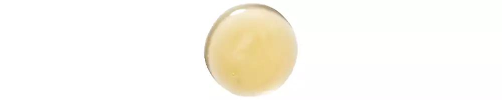 KLORANE Nourishing Shampoo With Mango