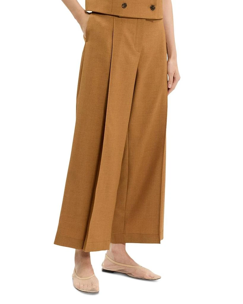 Theory Deep Pleated Pants 4