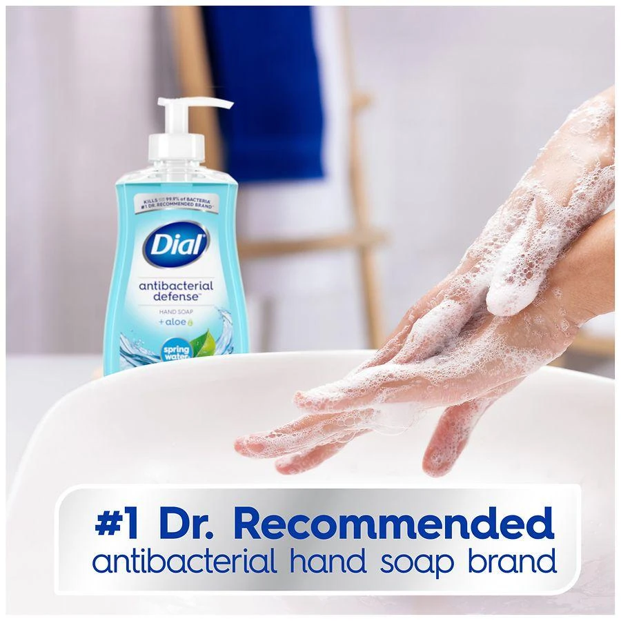 Dial Complete Antibacterial Liquid Hand Soap Spring Water 5