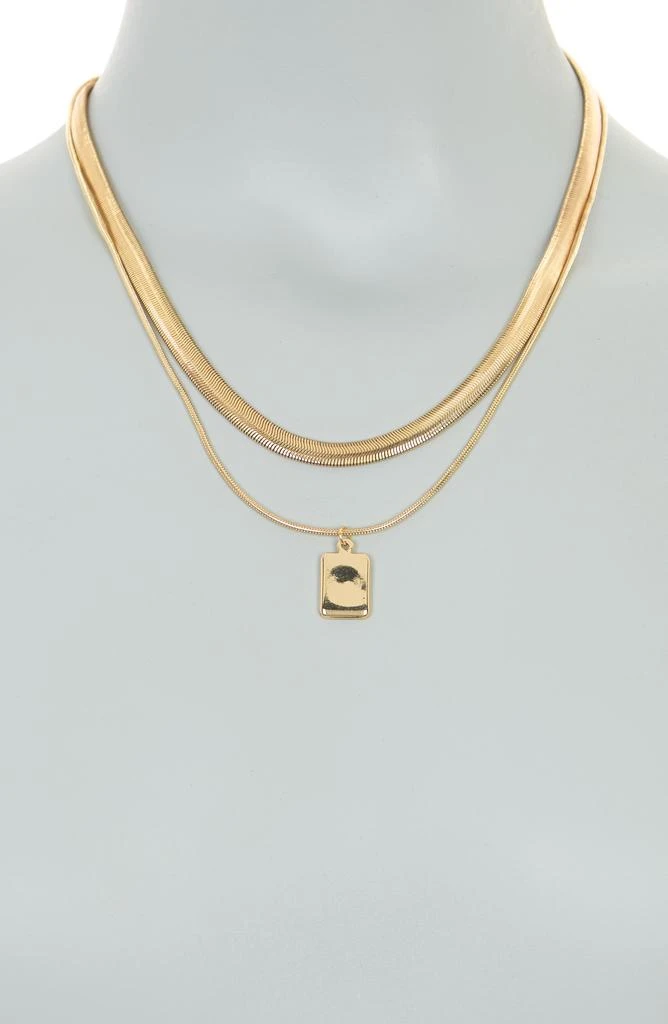 Nordstrom Snake Chain Collar & Pendant Layered Necklace 2