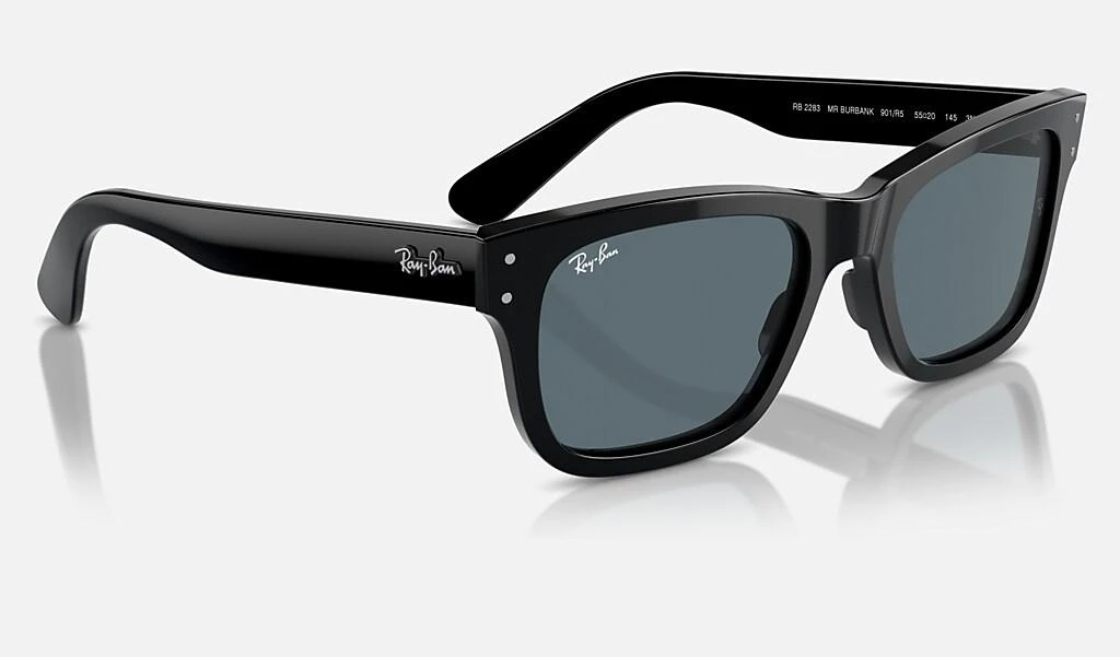 Ray-Ban BURBANK 6