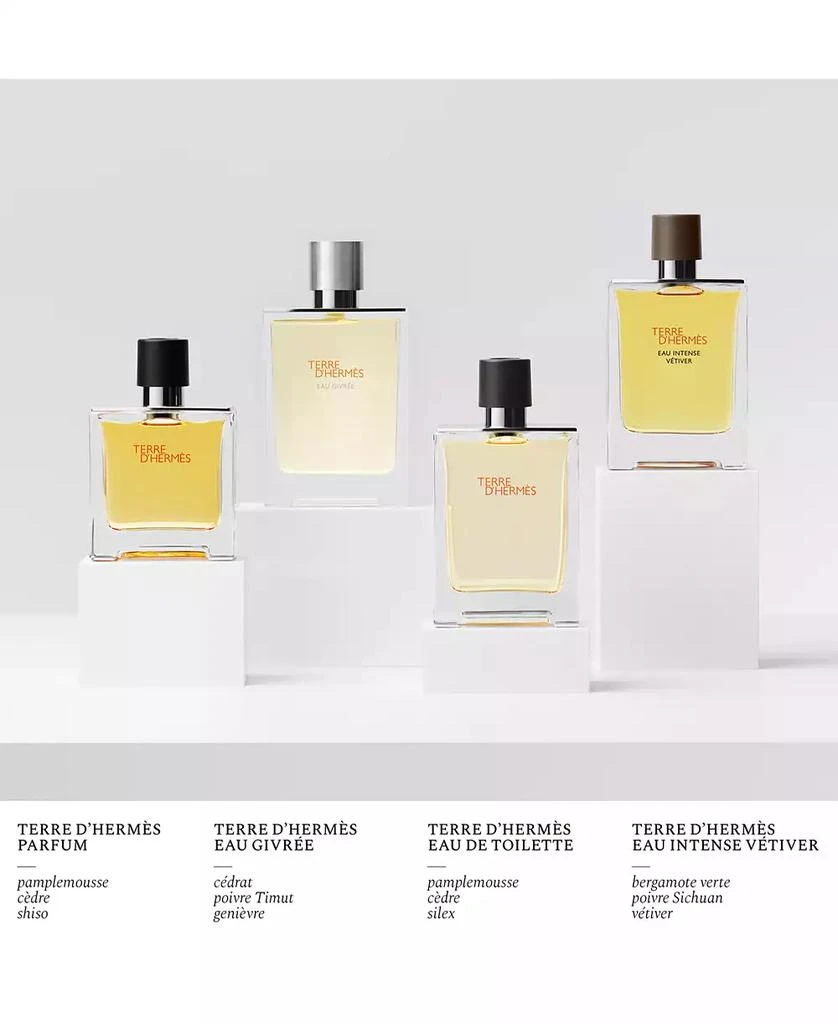 Hermes Terre d'Hermès Pure Perfume Spray, 2.5 oz. 3