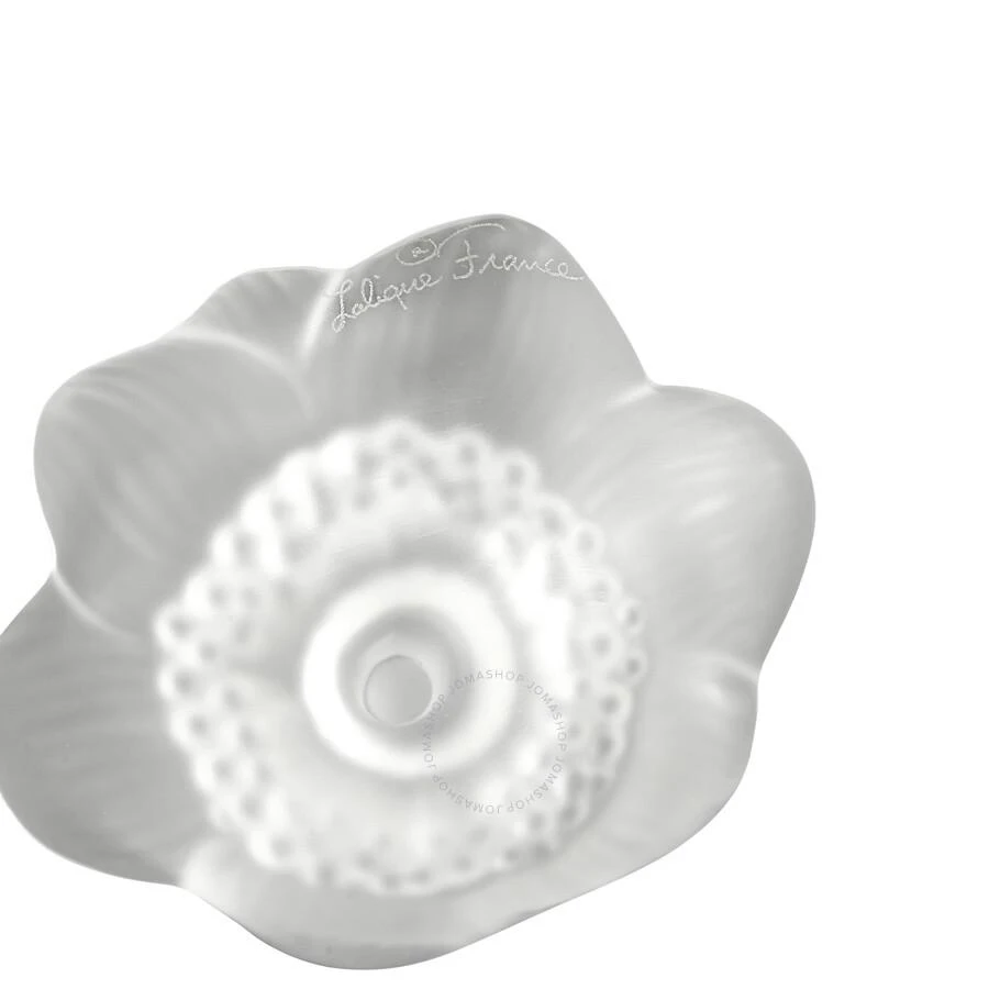 Lalique Anemone Flower Sculpture - Clear 10443000 3