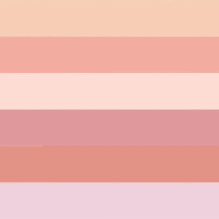 Suqqu Blurring Color Blush 4