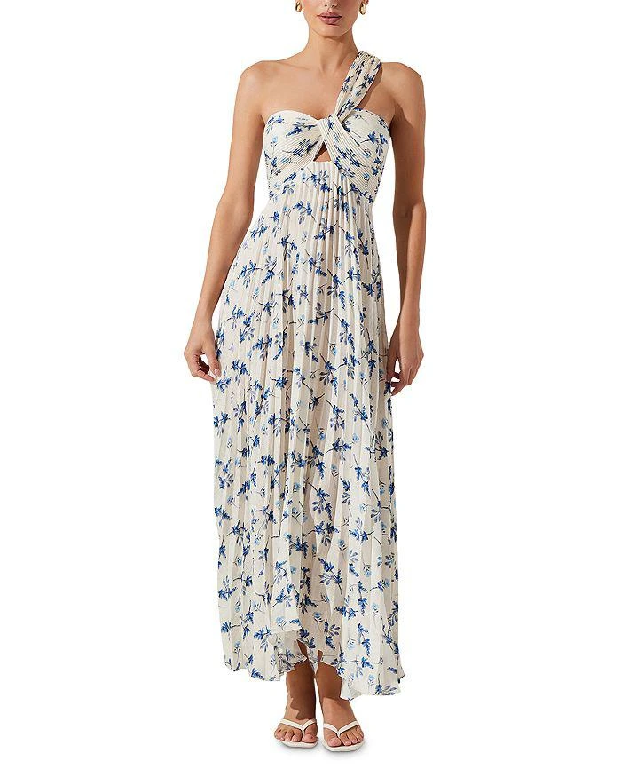green emerald velvet dress Astr The Label | Lupin Floral Pleated Maxi Dress in Wine Floral Print main image 0