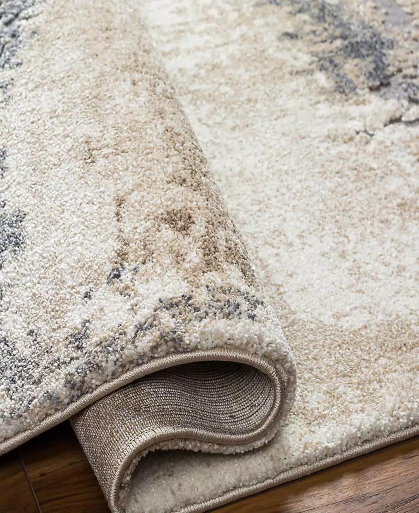 Surya Tuscany TUS-2344 4'3x5'7 Area Rug