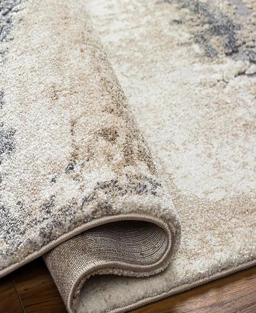 Surya Tuscany TUS-2344 4'3x5'7 Area Rug 2