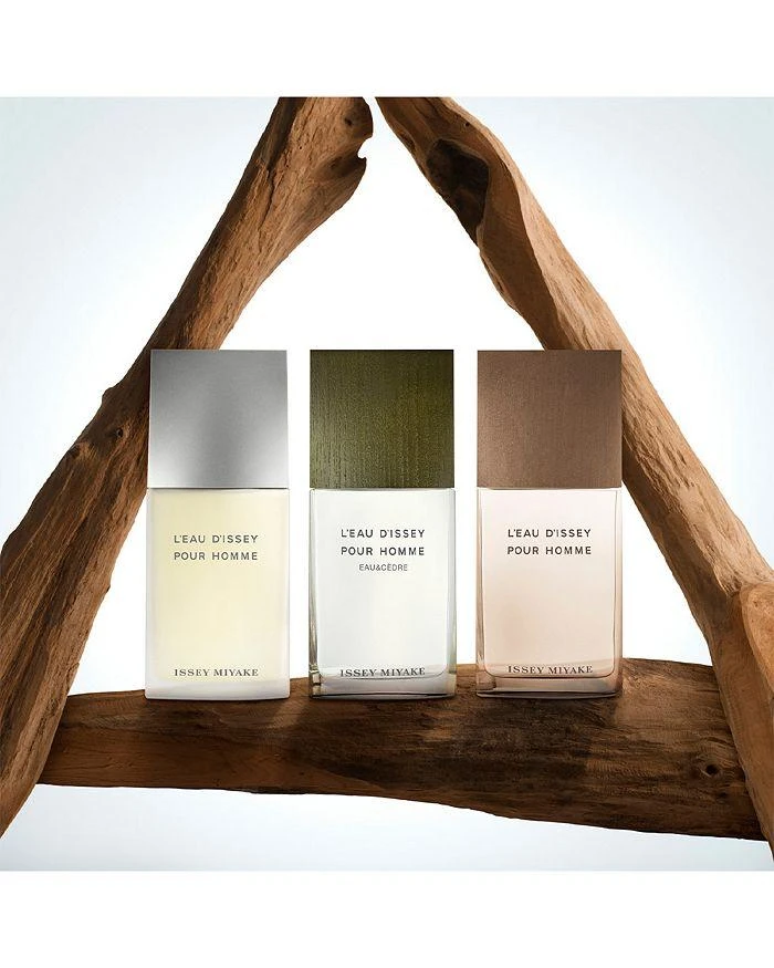Issey Miyake L'eau d'Issey Pour Homme Eau de Toilette 6