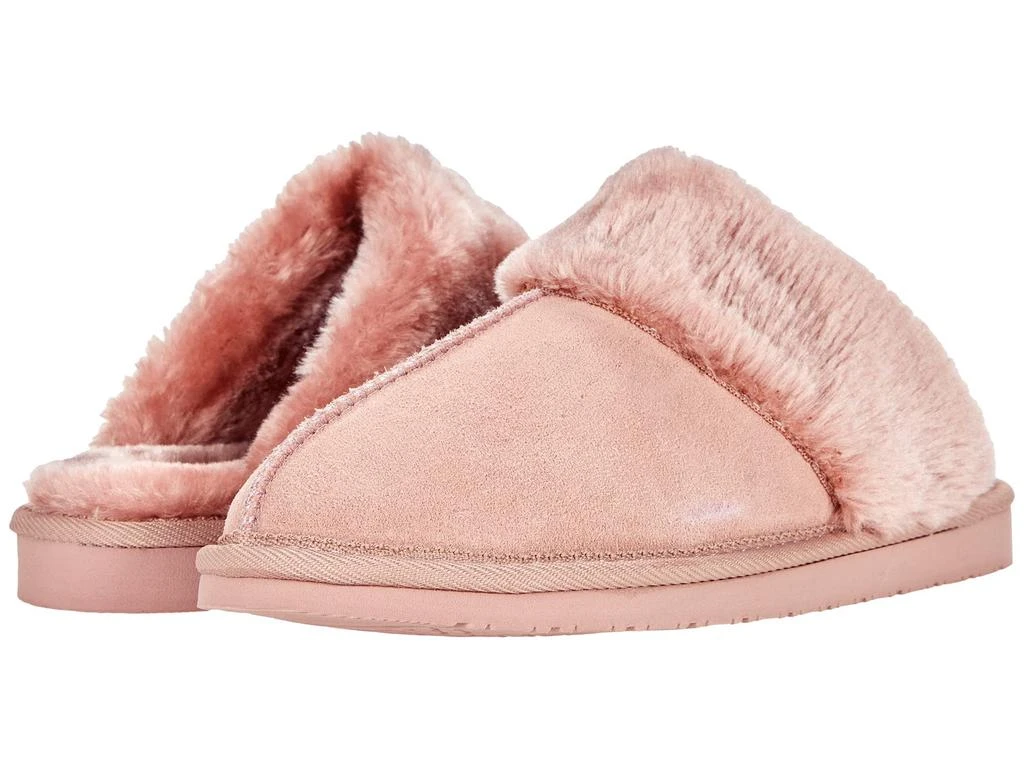 Minnetonka Chesney 1