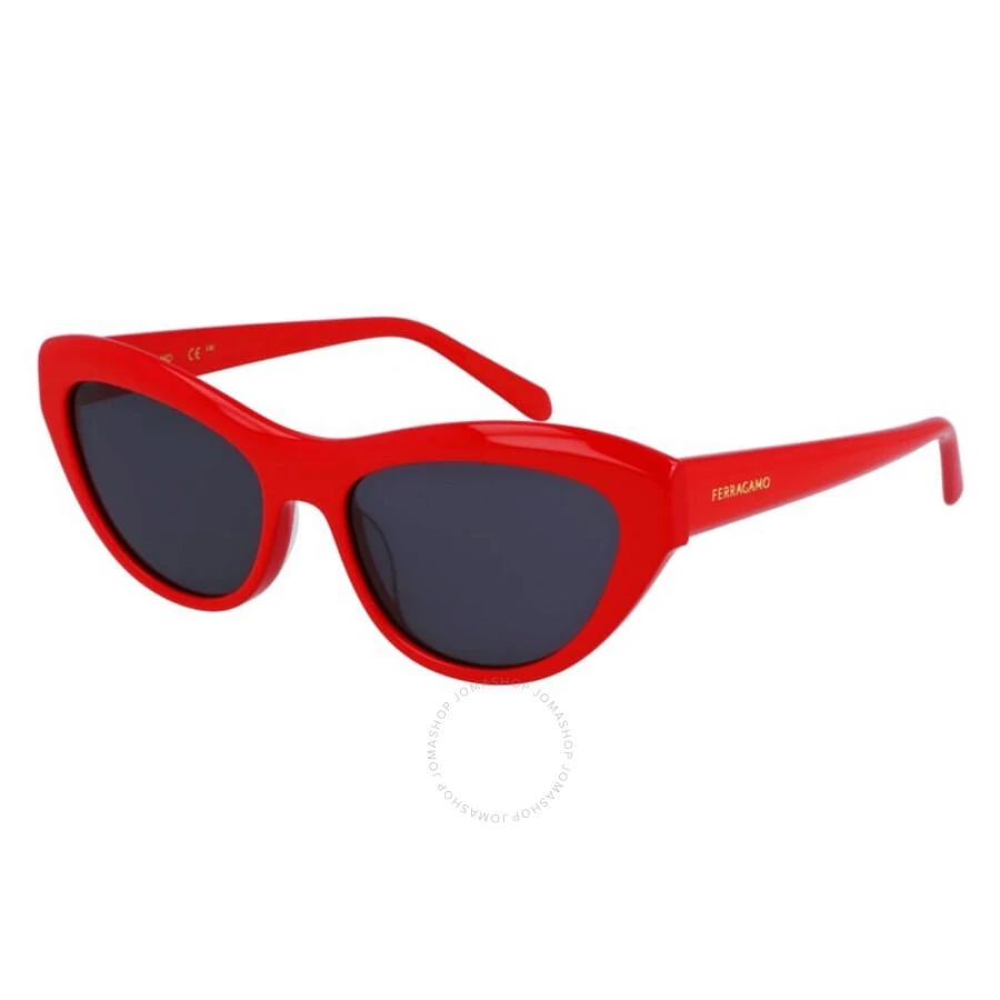 Salvatore Ferragamo Salvatore Ferragamo Grey Cat Eye Ladies Sunglasses SF1103S 600 55 1