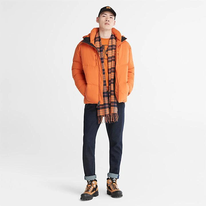 Timberland Neo Summit Hooded Jacket for Men in Brown 3