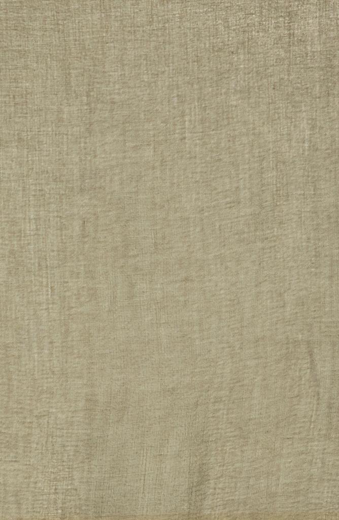 Melrose and Market Frayed Trim Scarf