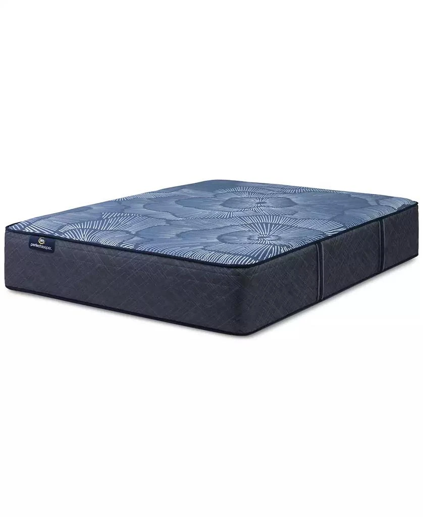 Serta Perfect Sleeper Euphoric Nights 14" Firm Hybrid Mattress 2