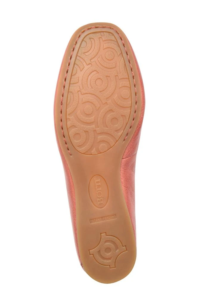 Børn Brin Ballet Flat 6