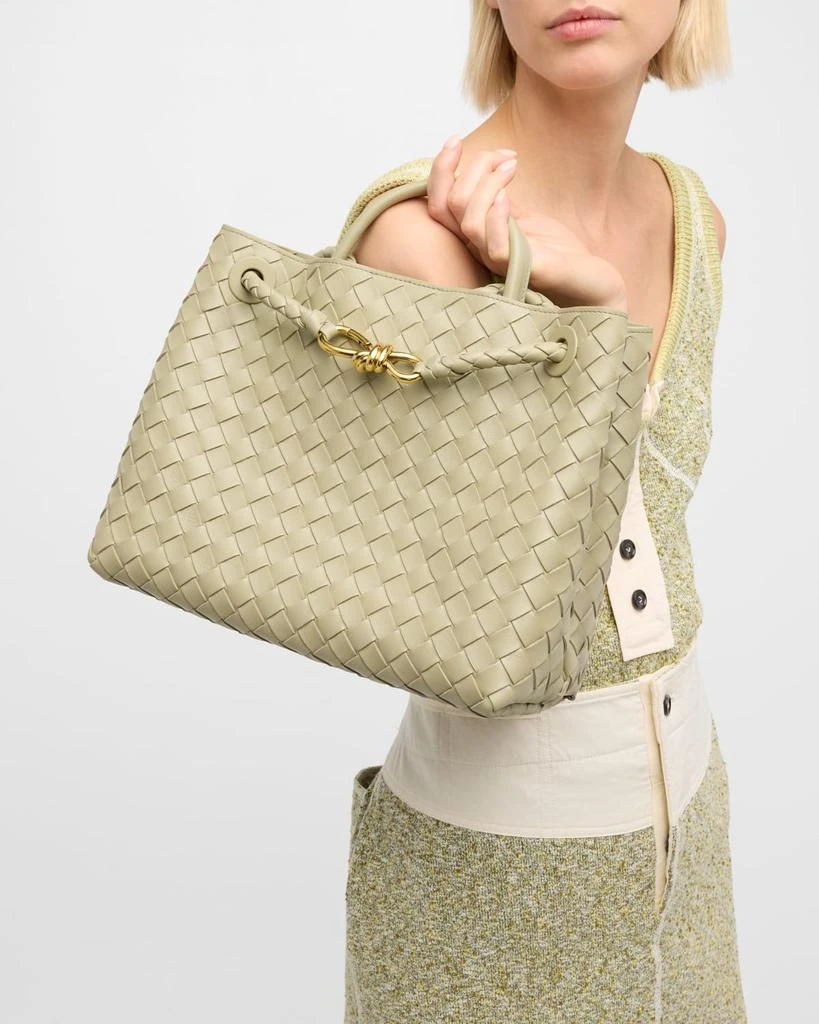 Bottega Veneta Medium Andiamo Bag 3