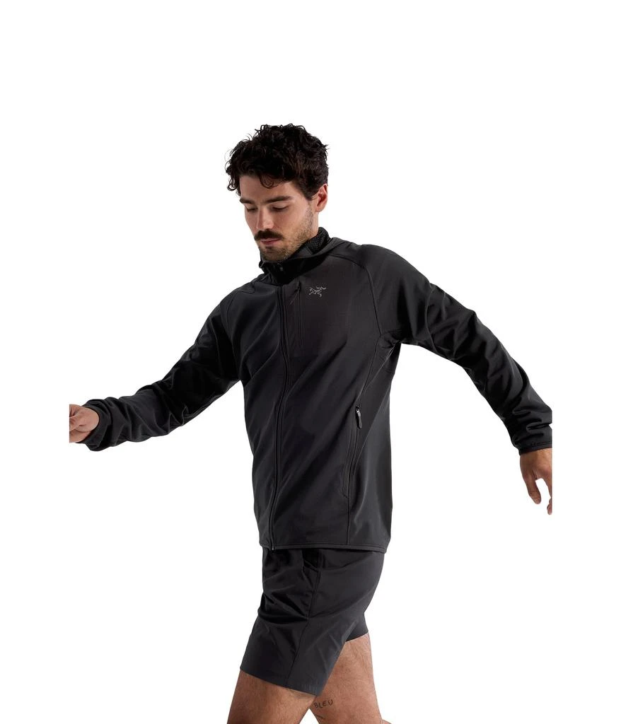 Arc'teryx Delta Hoody 2